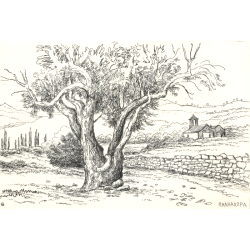 772 In den Bergen Griechenlands 9x13cm