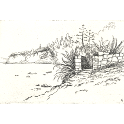 773 An der K&uuml;ste von Aegina 8x12cm