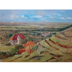 Weinberge der Oberl&ouml;&szlig;nitz im Sommer