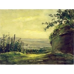 Sp&auml;tsommer in den Radebeuler Weinbergen