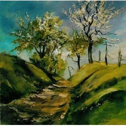 Baumbl&uuml;te bei Kesselsdorf