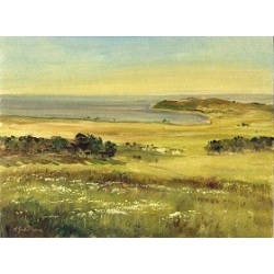 Frühlingslandschaft bei Groß Zicker